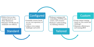 PMO Advisory Customization Framework